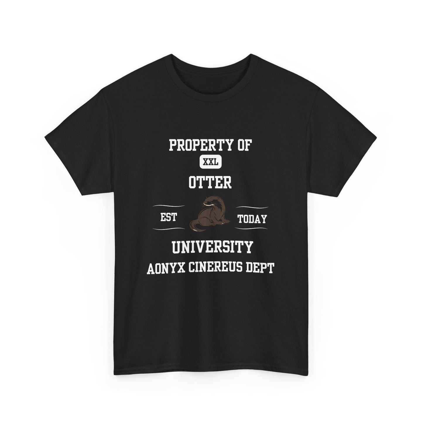 Property of Otter University