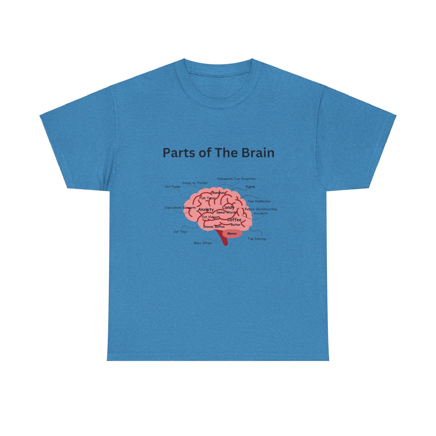 Parts of The Brain