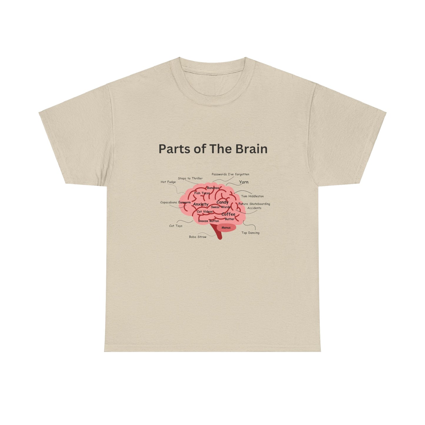 Parts of The Brain
