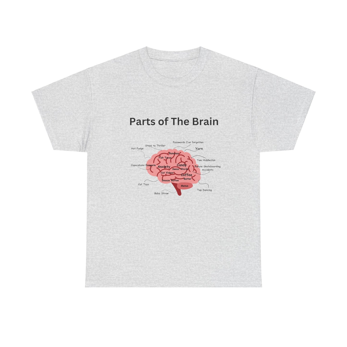 Parts of The Brain