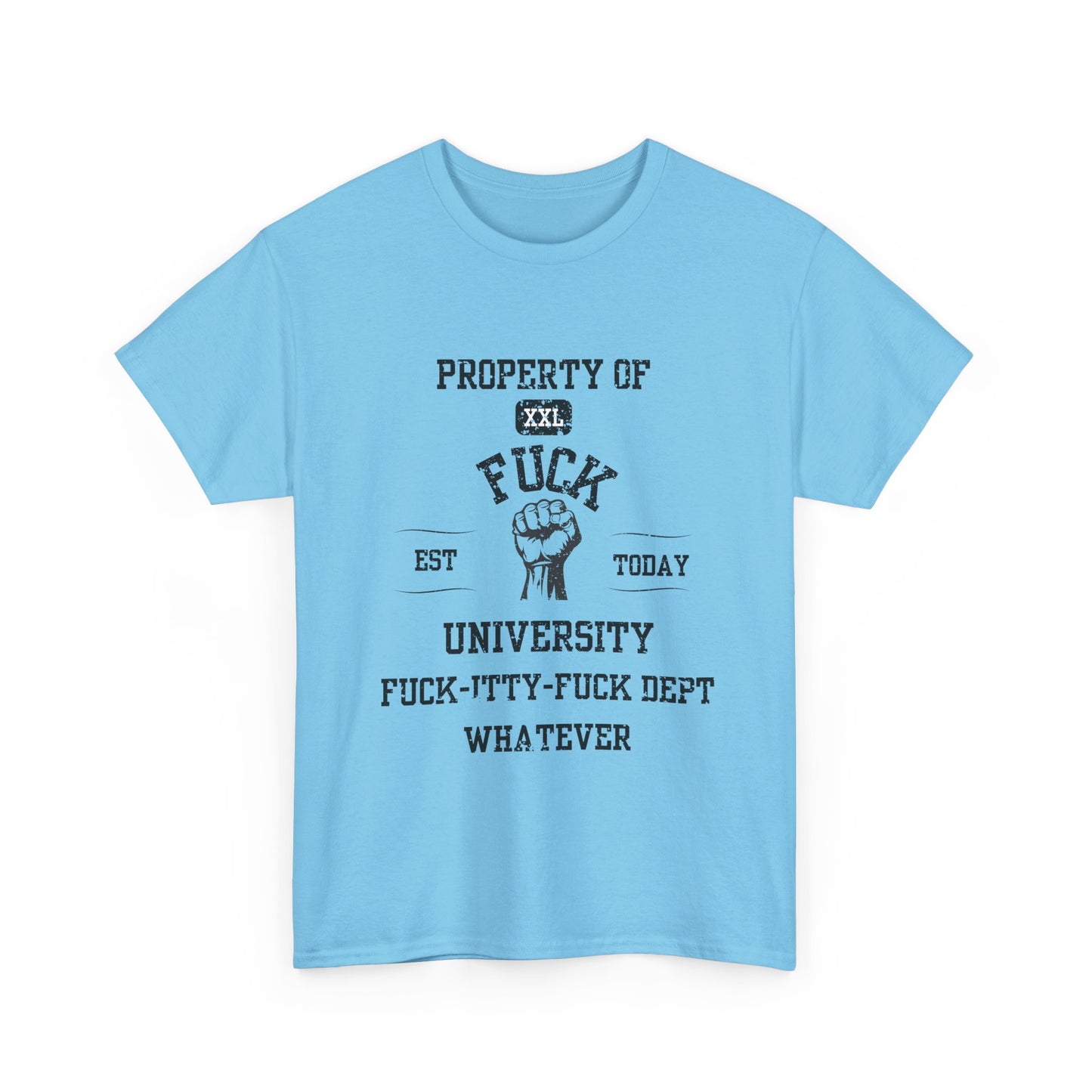 Property of ... University