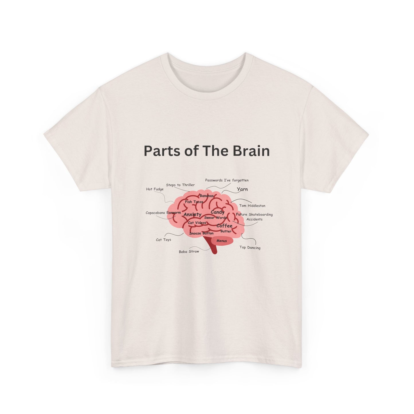 Parts of The Brain