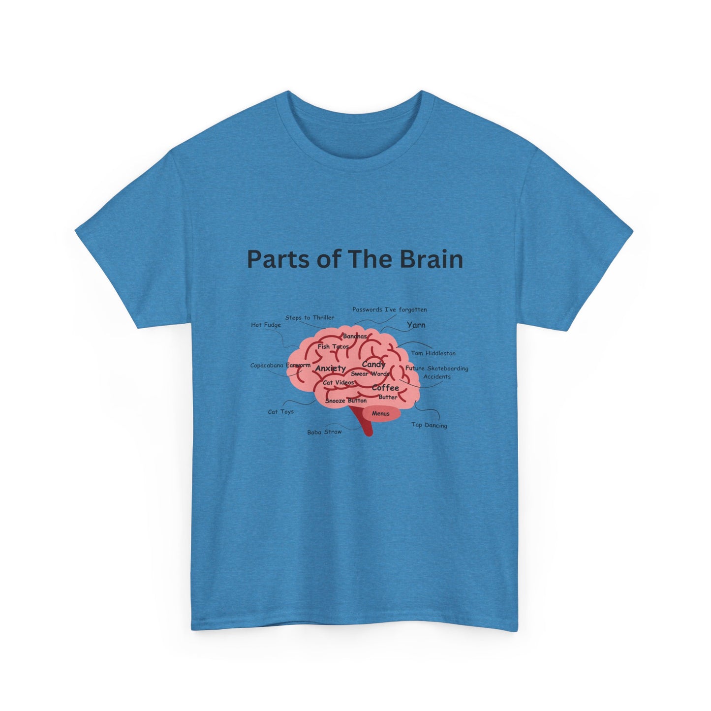 Parts of The Brain