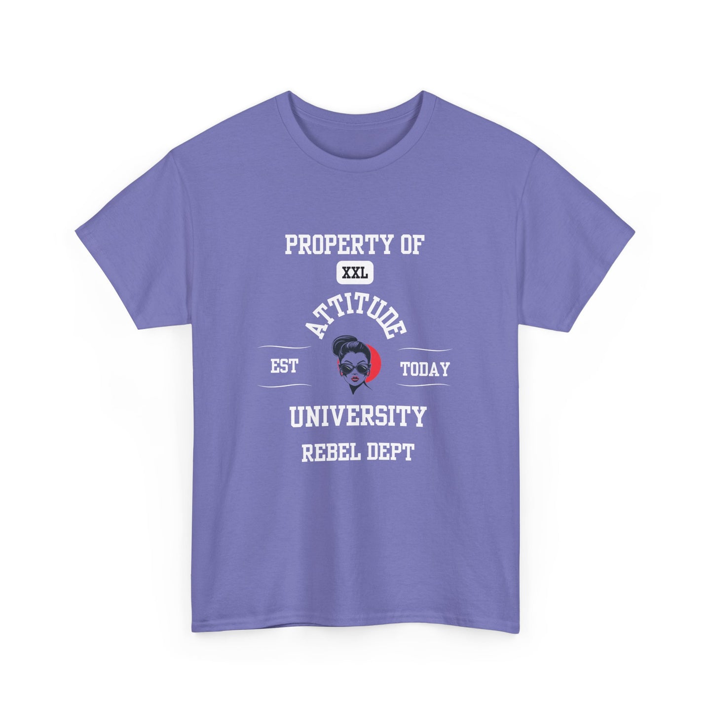 Property of Attitude University