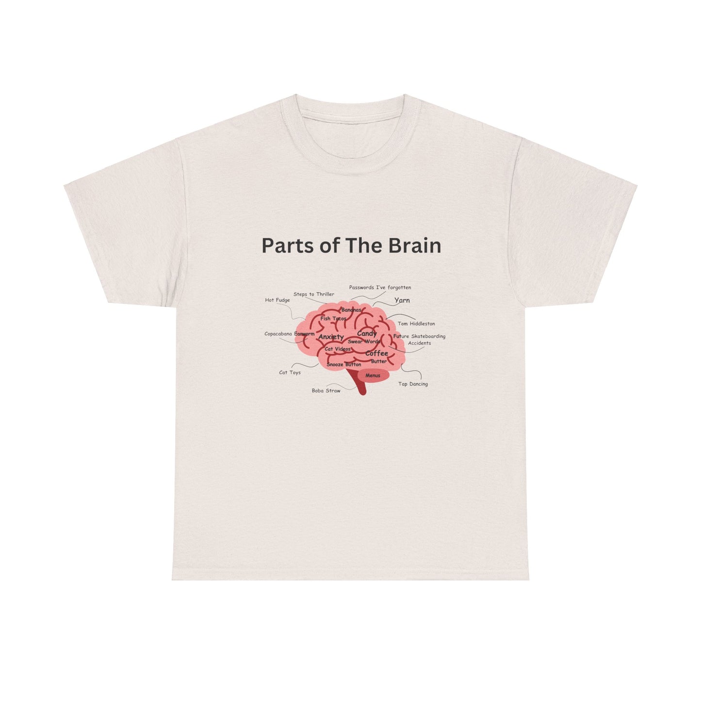Parts of The Brain