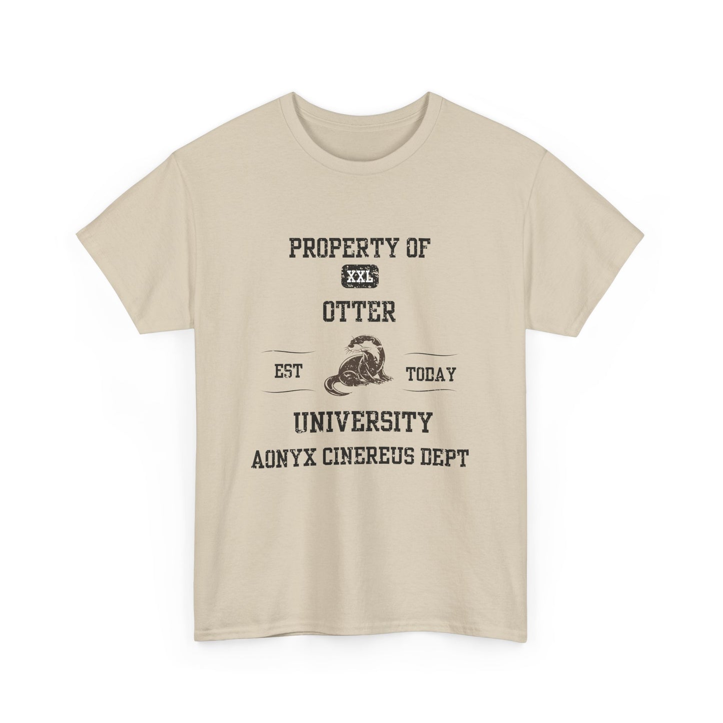Property of Otter University