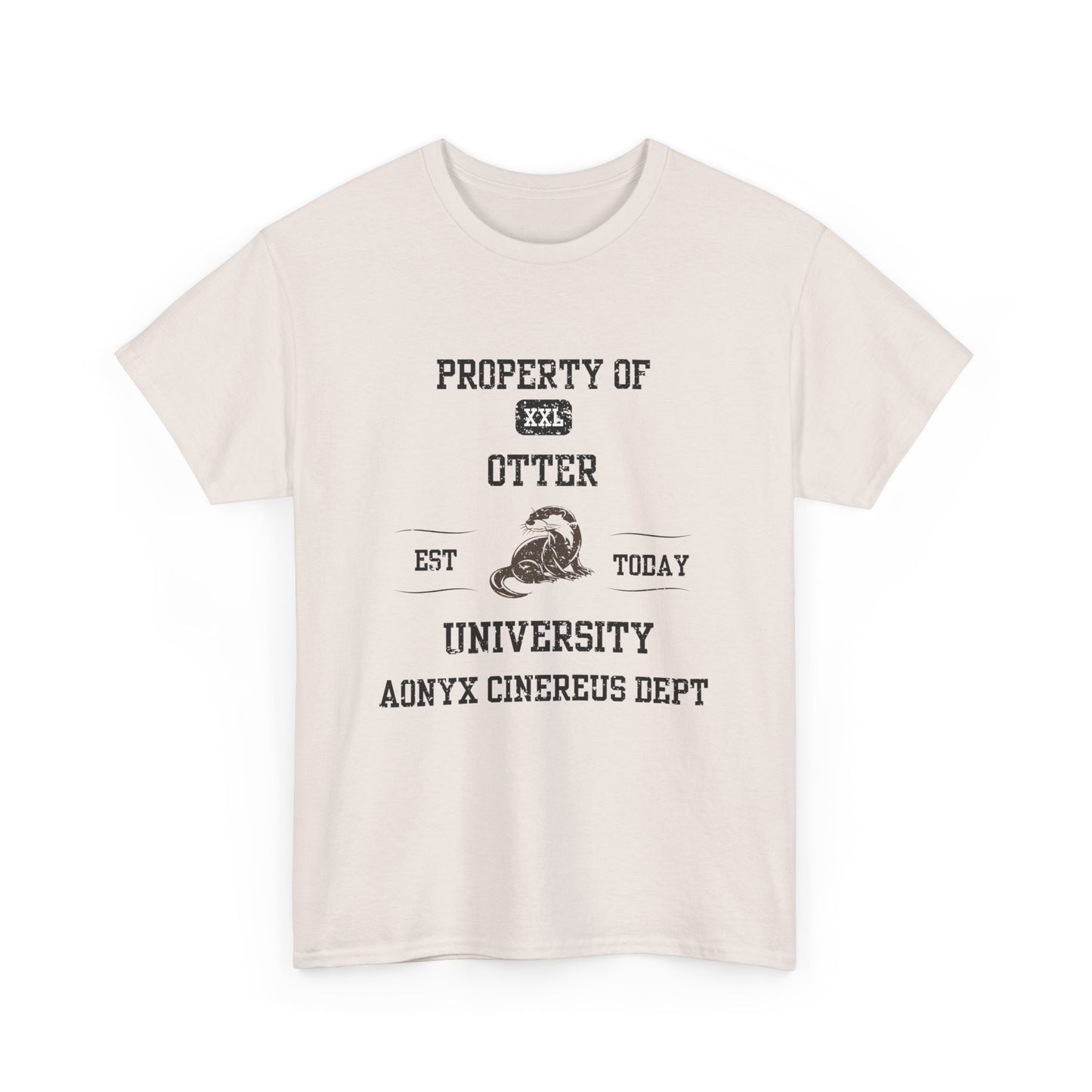 Property of Otter University