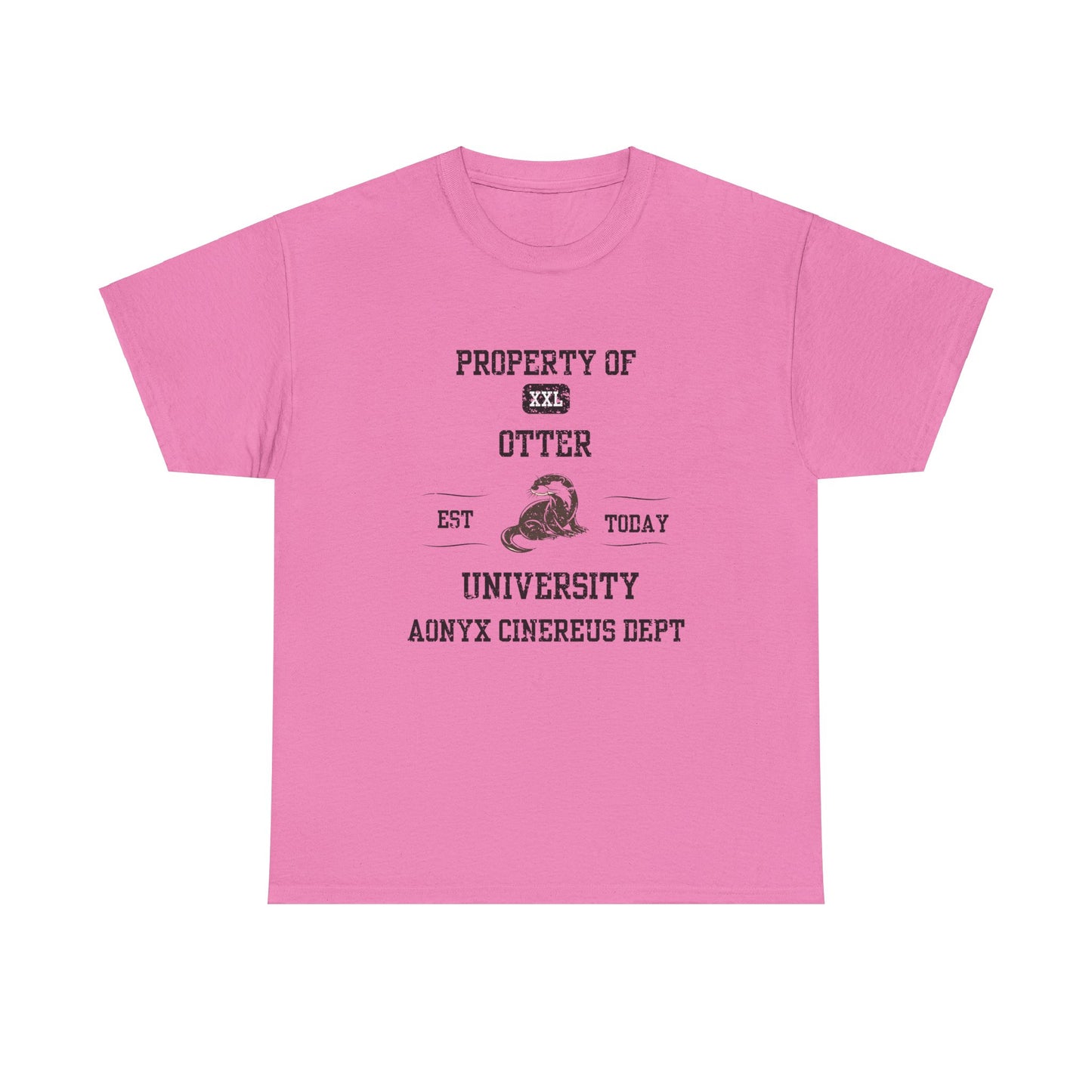 Property of Otter University