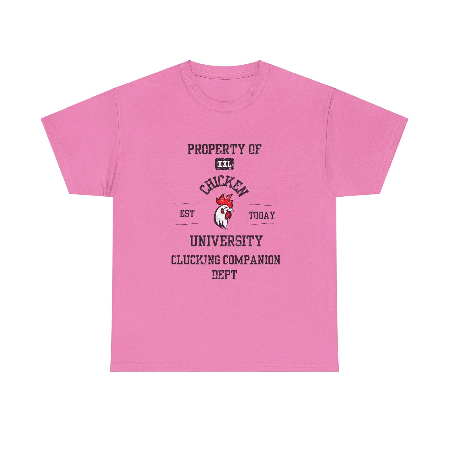 Property of Chicken University