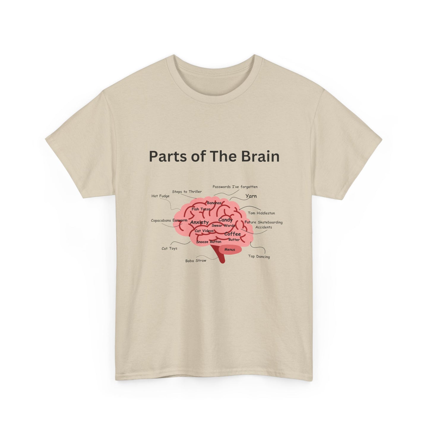 Parts of The Brain