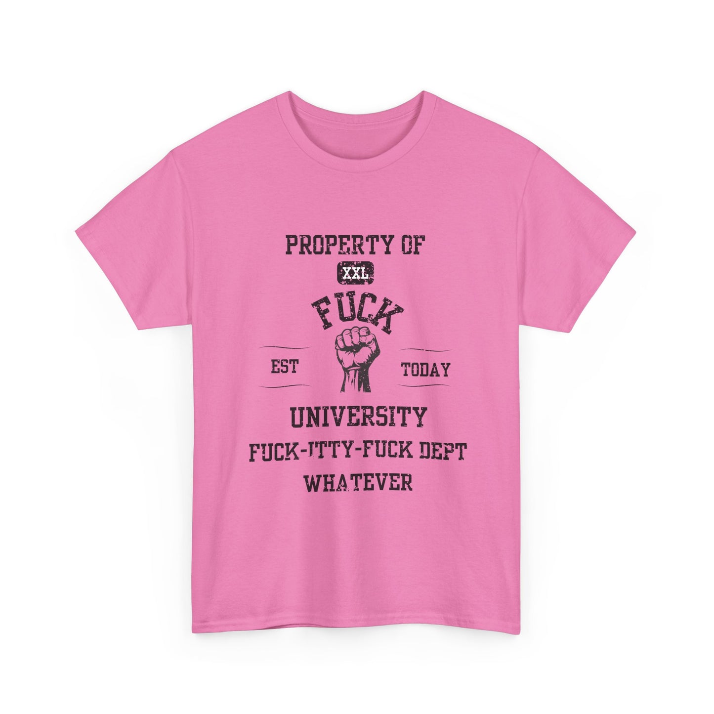 Property of ... University