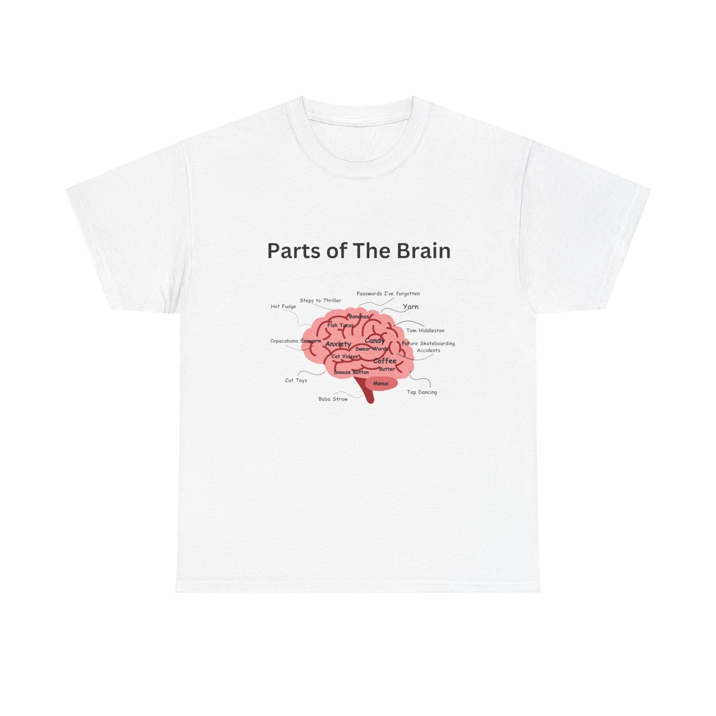 Parts of The Brain