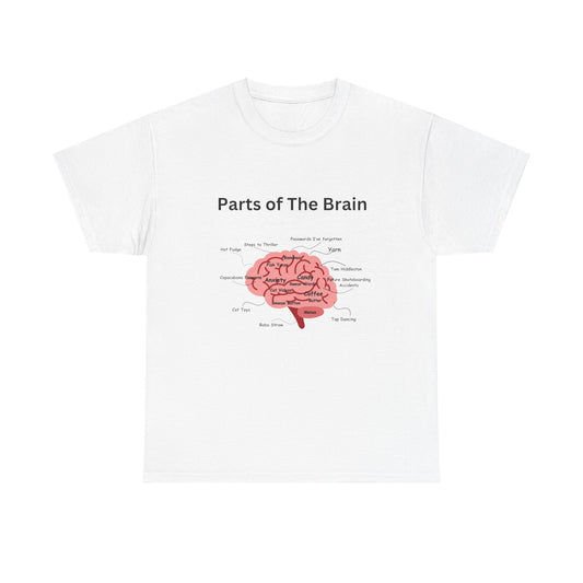 Parts of The Brain