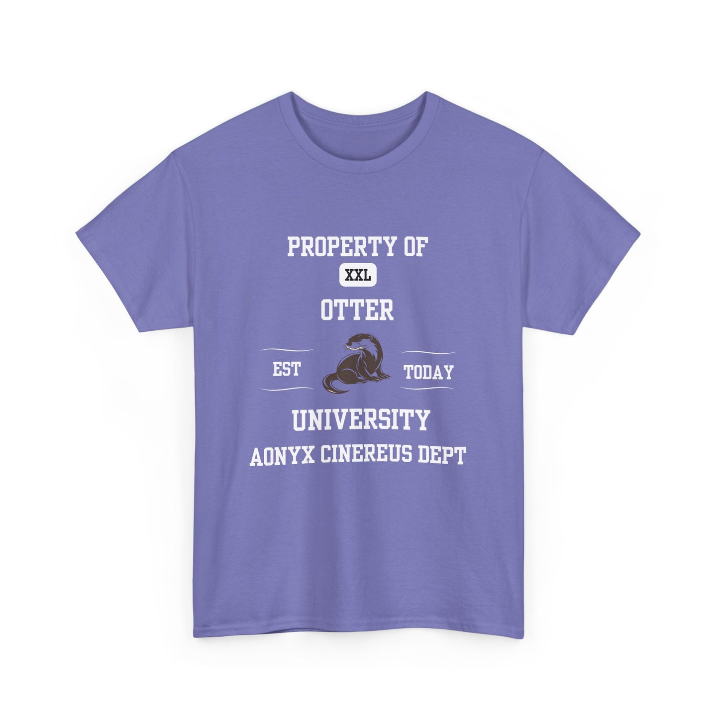 Property of Otter University