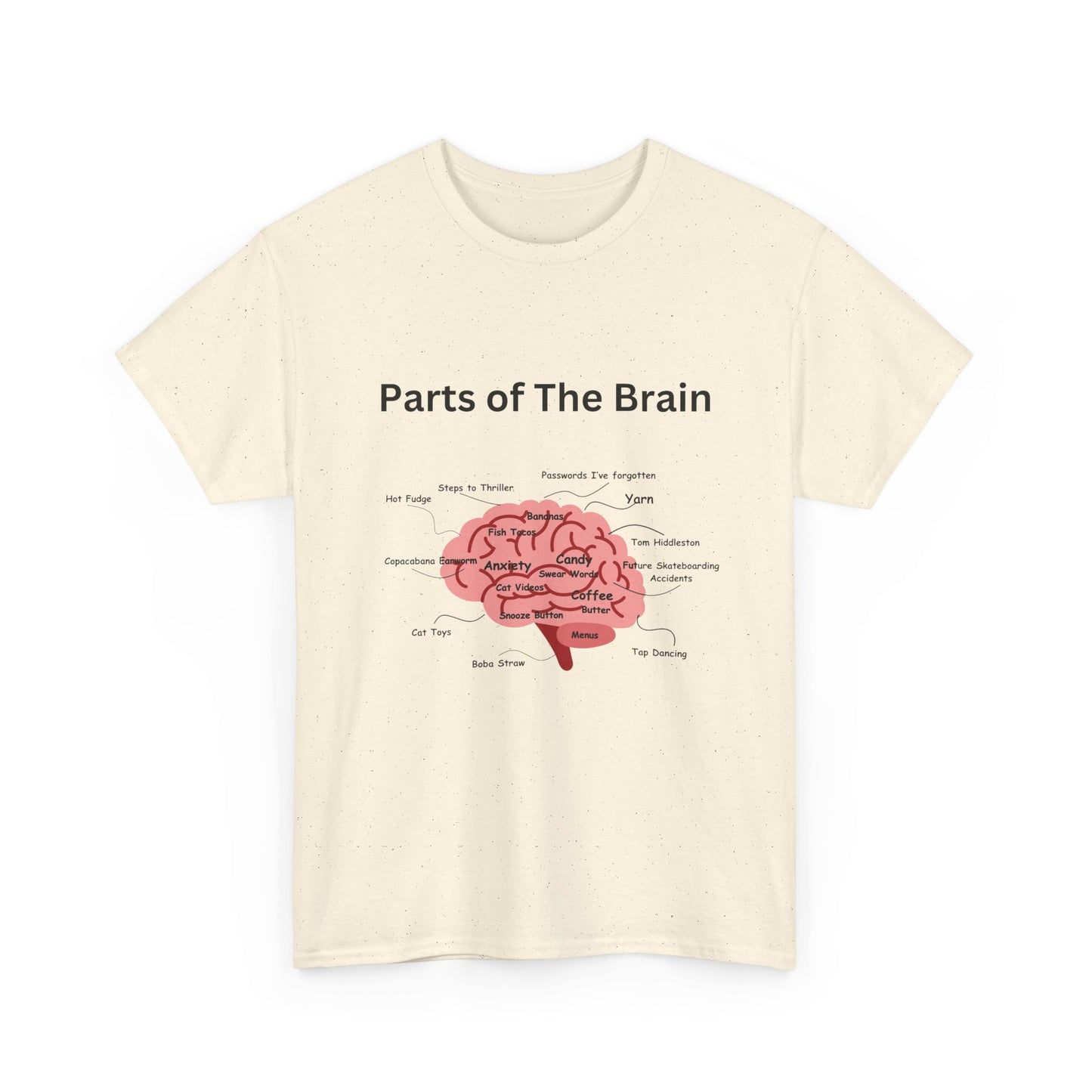Parts of The Brain