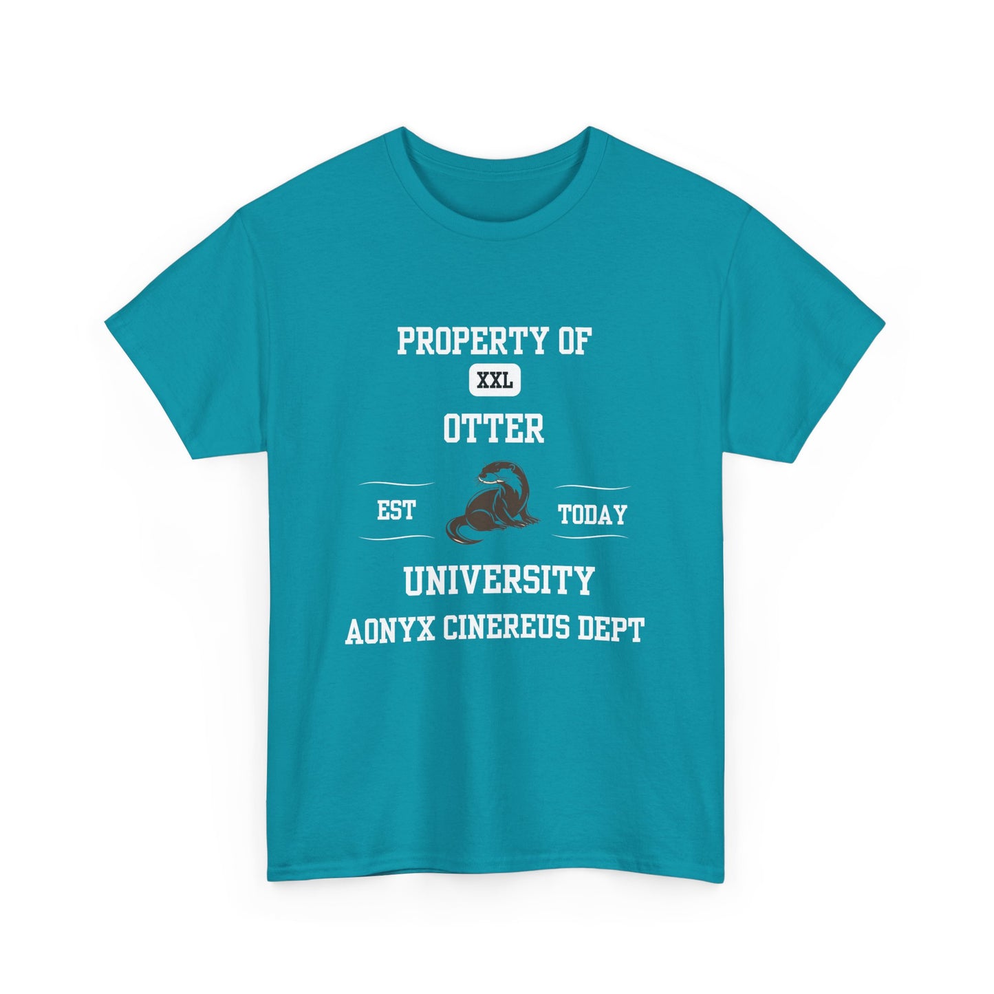 Property of Otter University