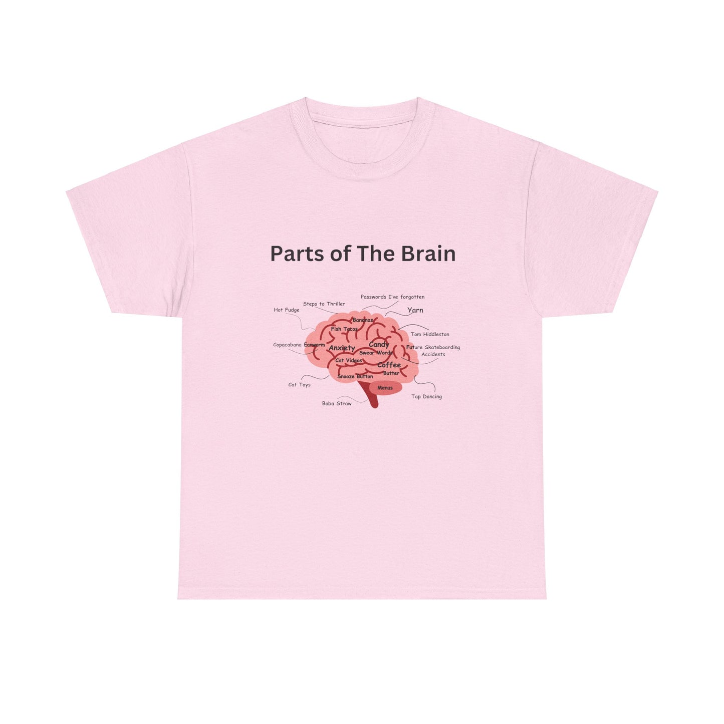 Parts of The Brain