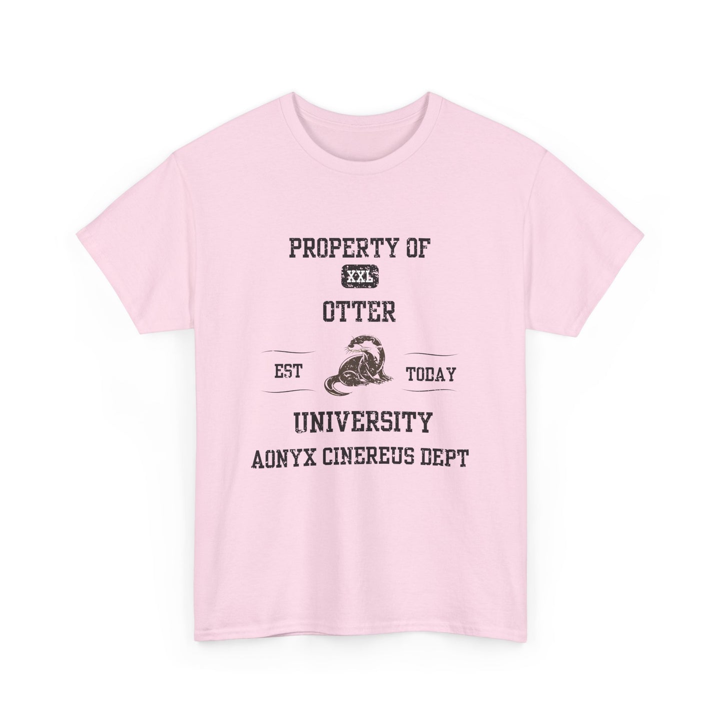 Property of Otter University