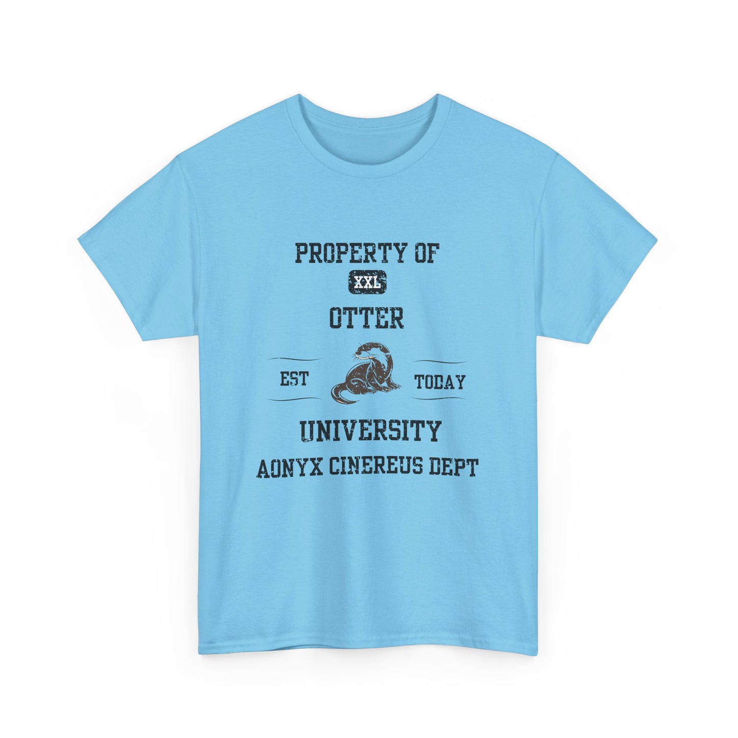 Property of Otter University