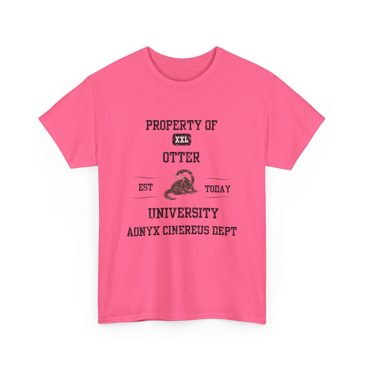 Property of Otter University