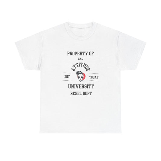 Property of Attitude University