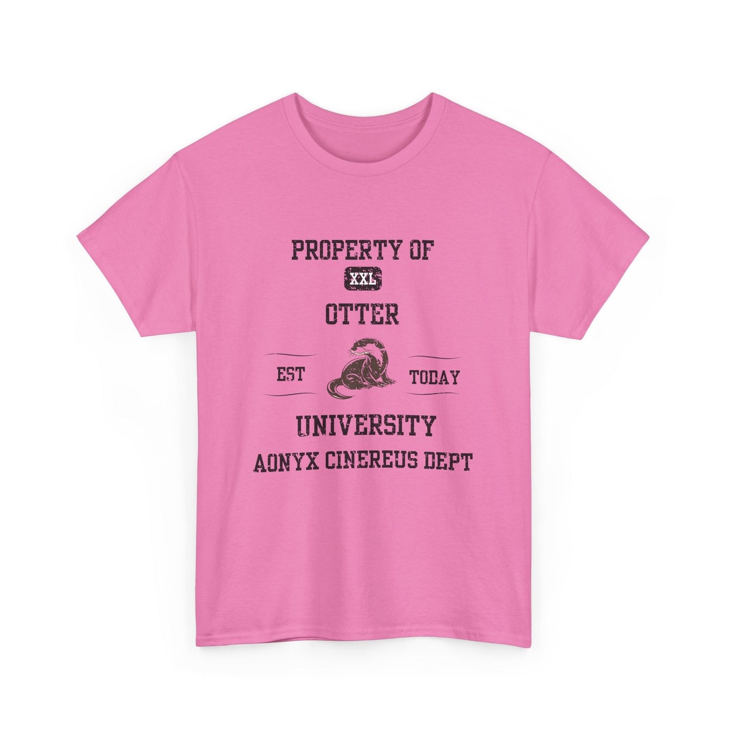 Property of Otter University