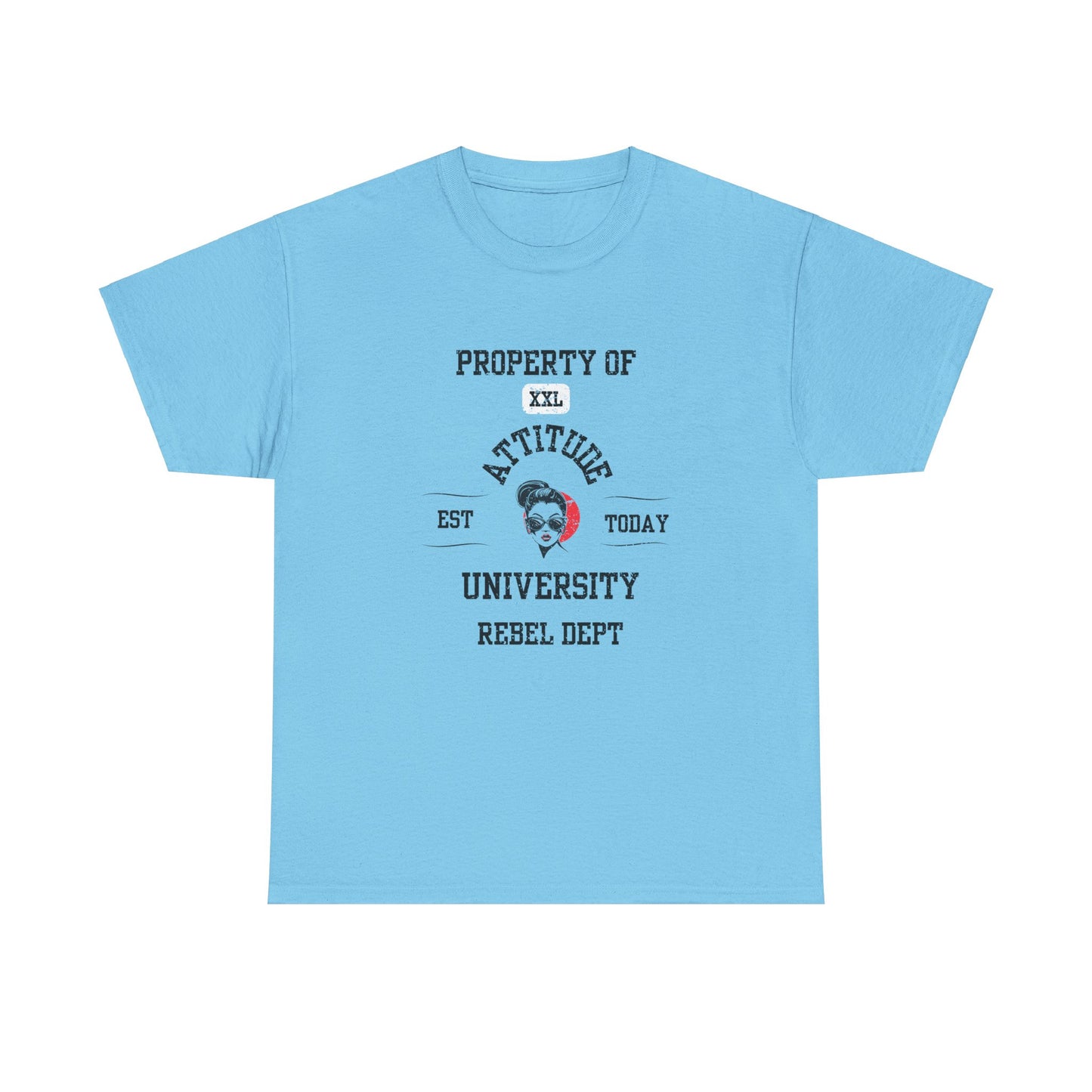 Property of Attitude University