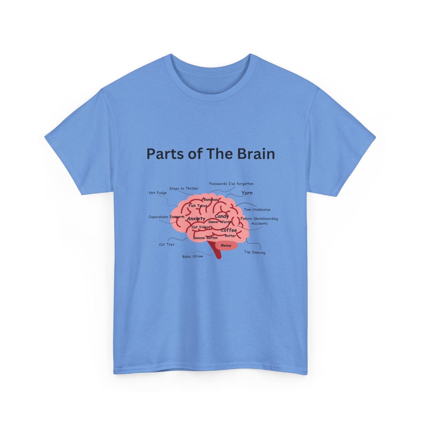 Parts of The Brain