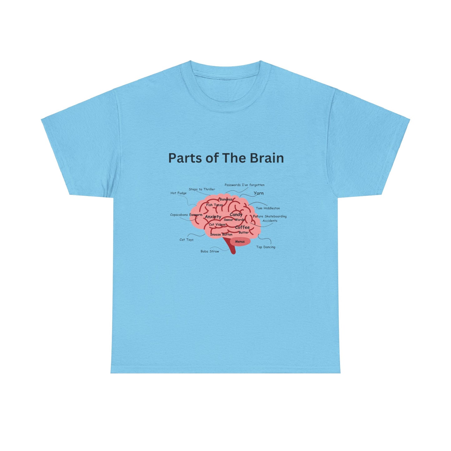 Parts of The Brain