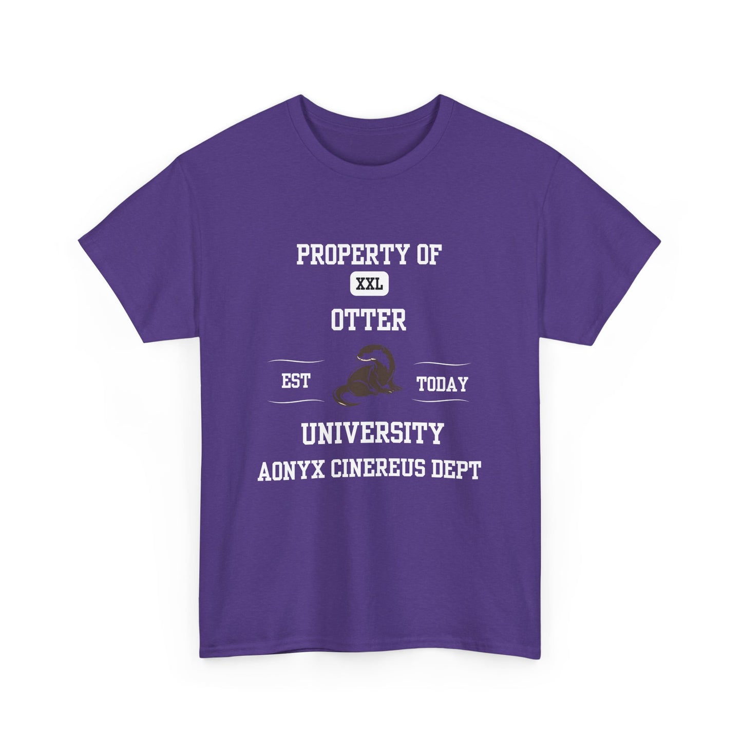 Property of Otter University