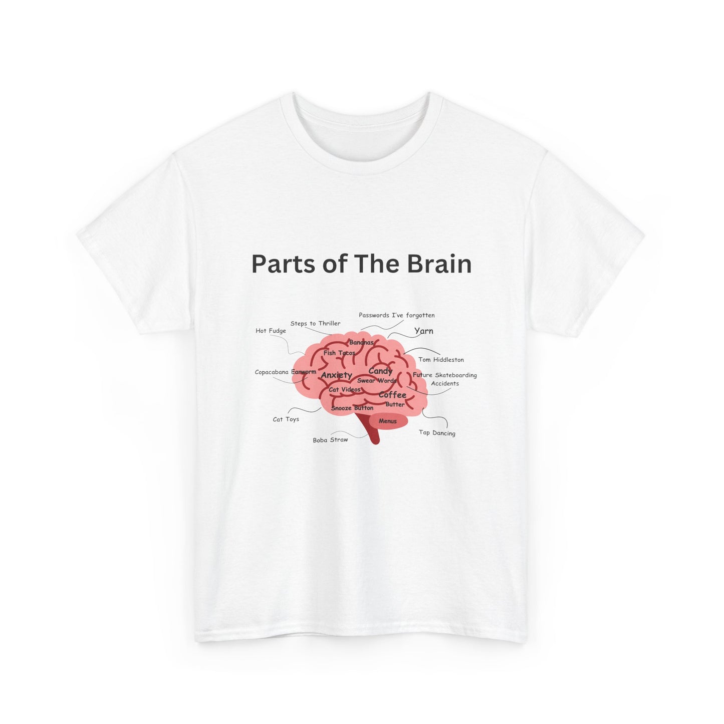 Parts of The Brain