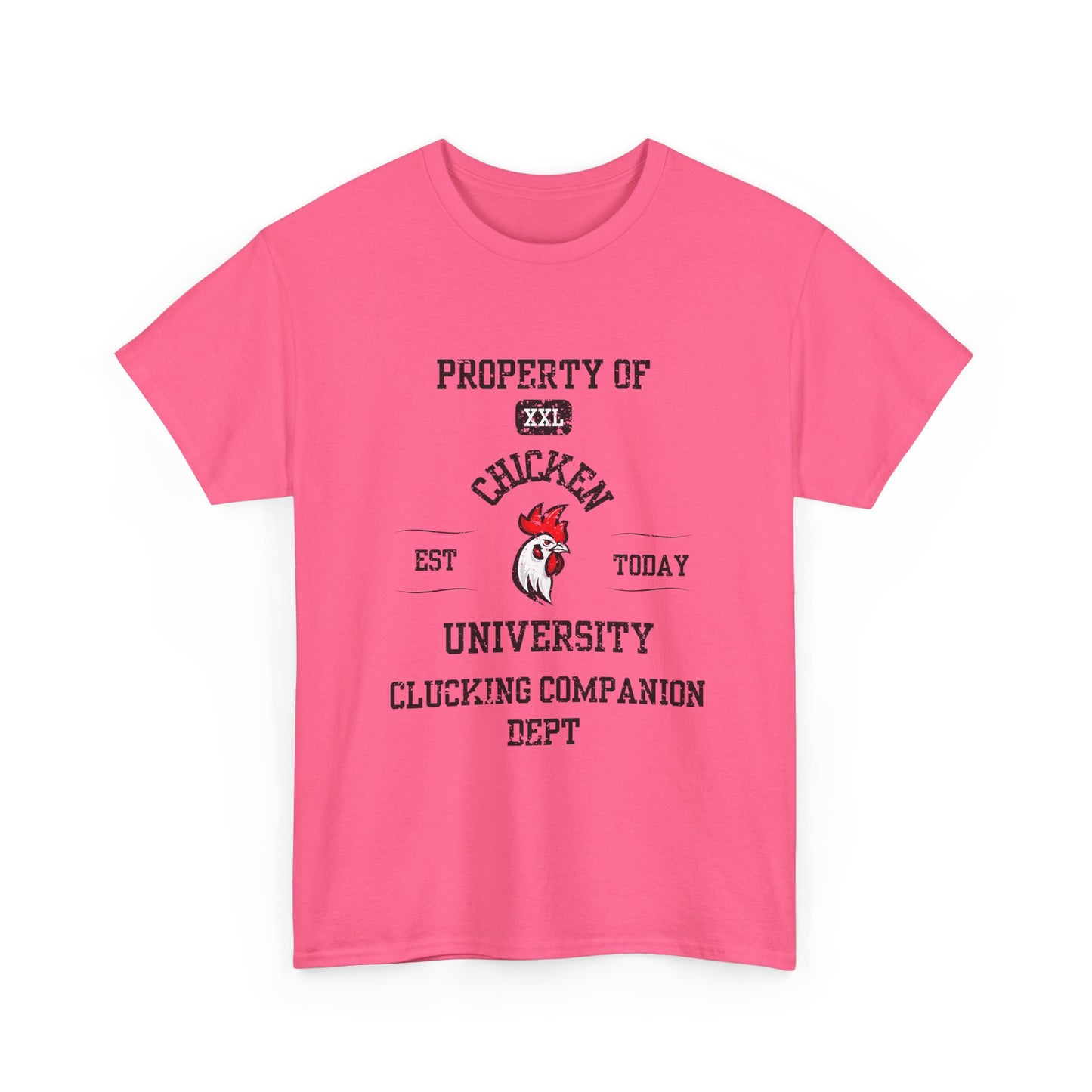 Property of Chicken University