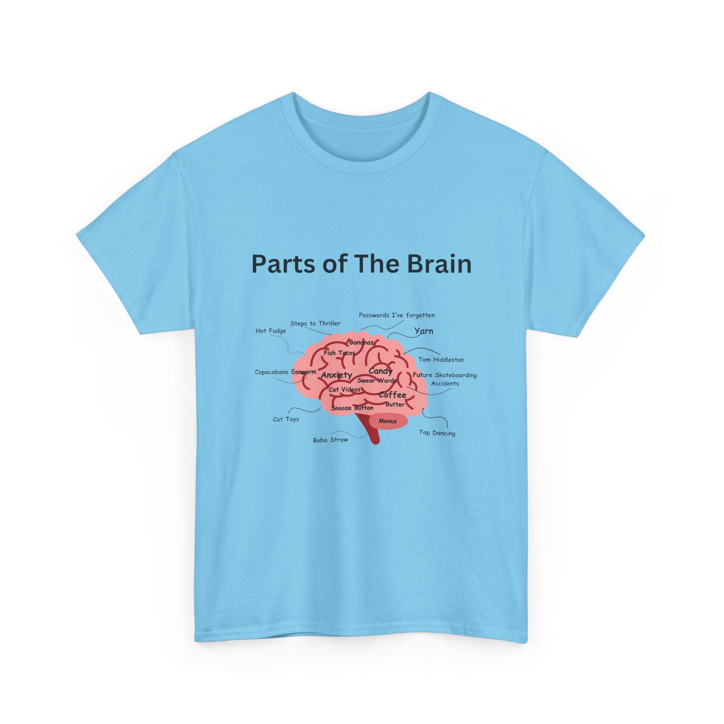 Parts of The Brain