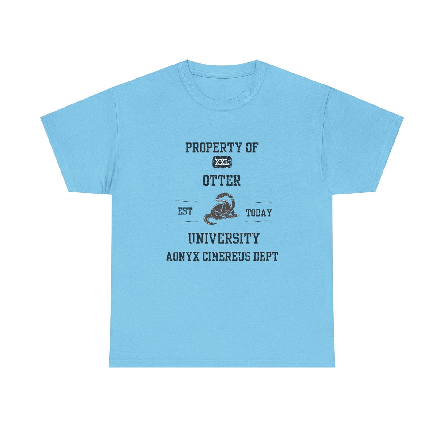 Property of Otter University