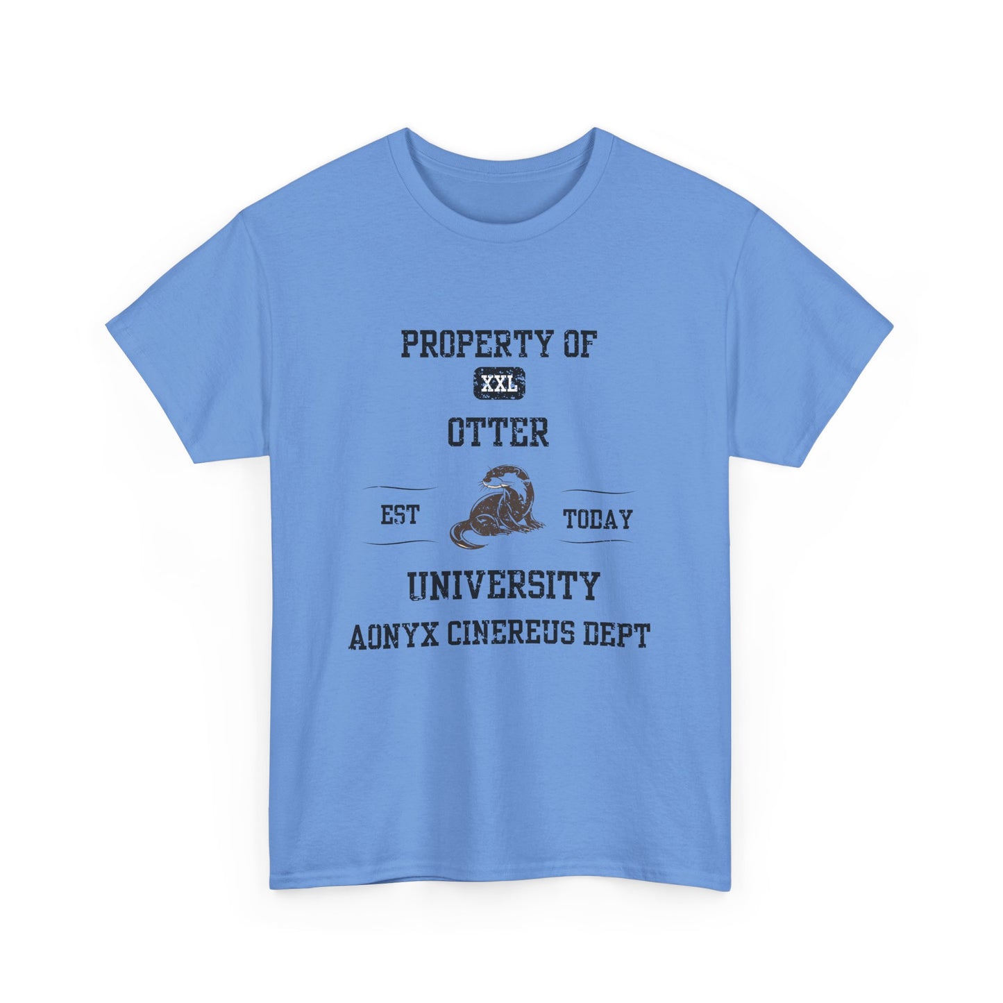 Property of Otter University