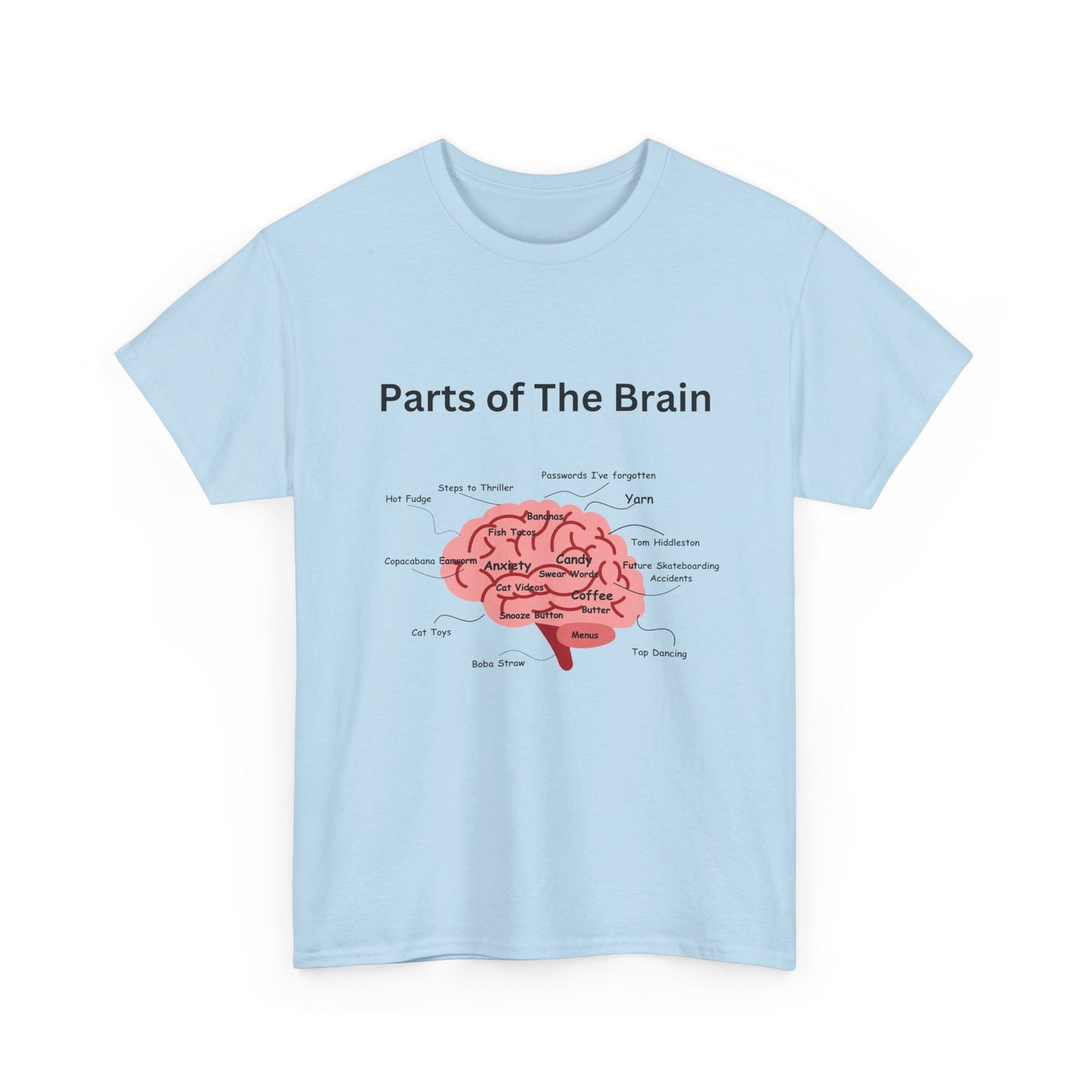 Parts of The Brain