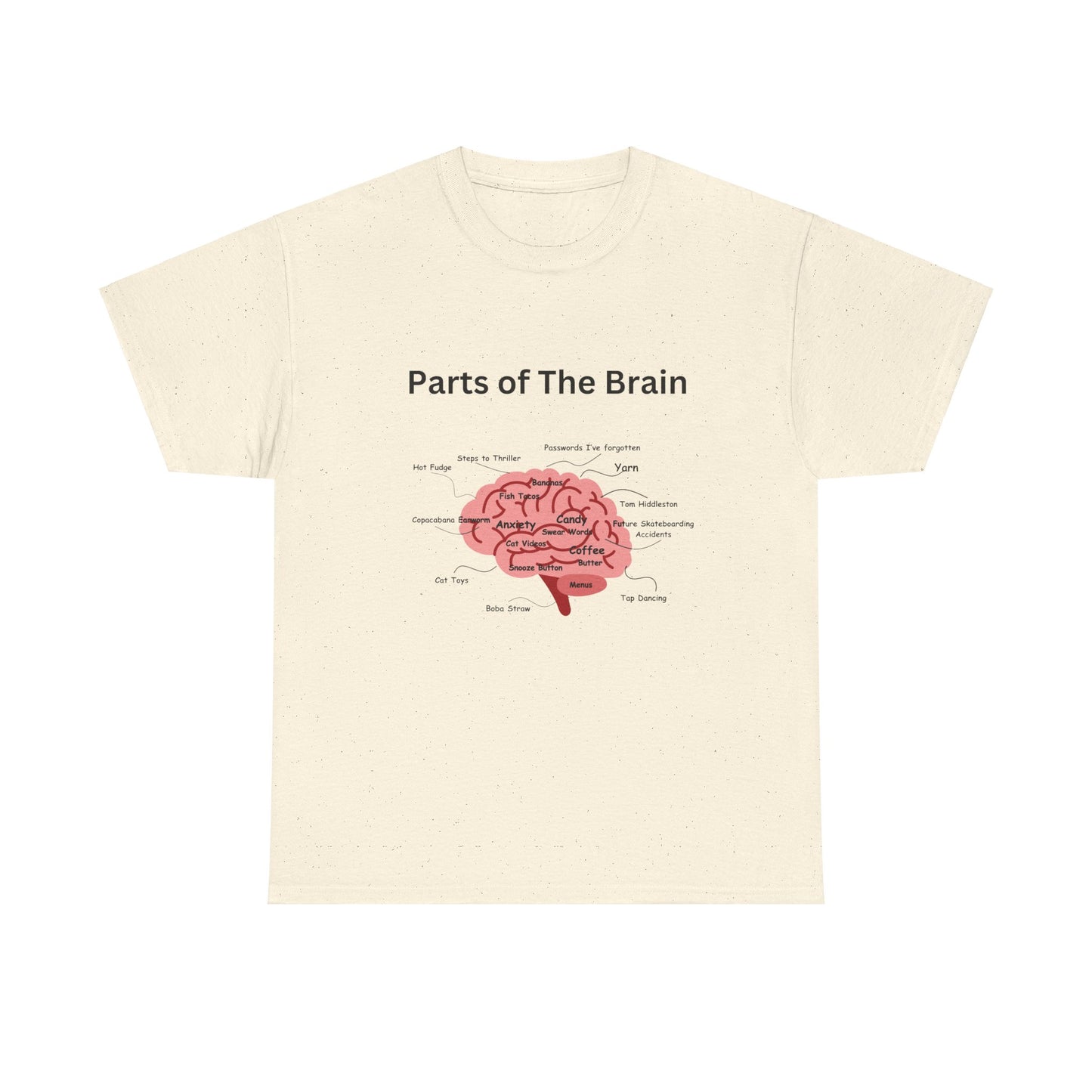 Parts of The Brain