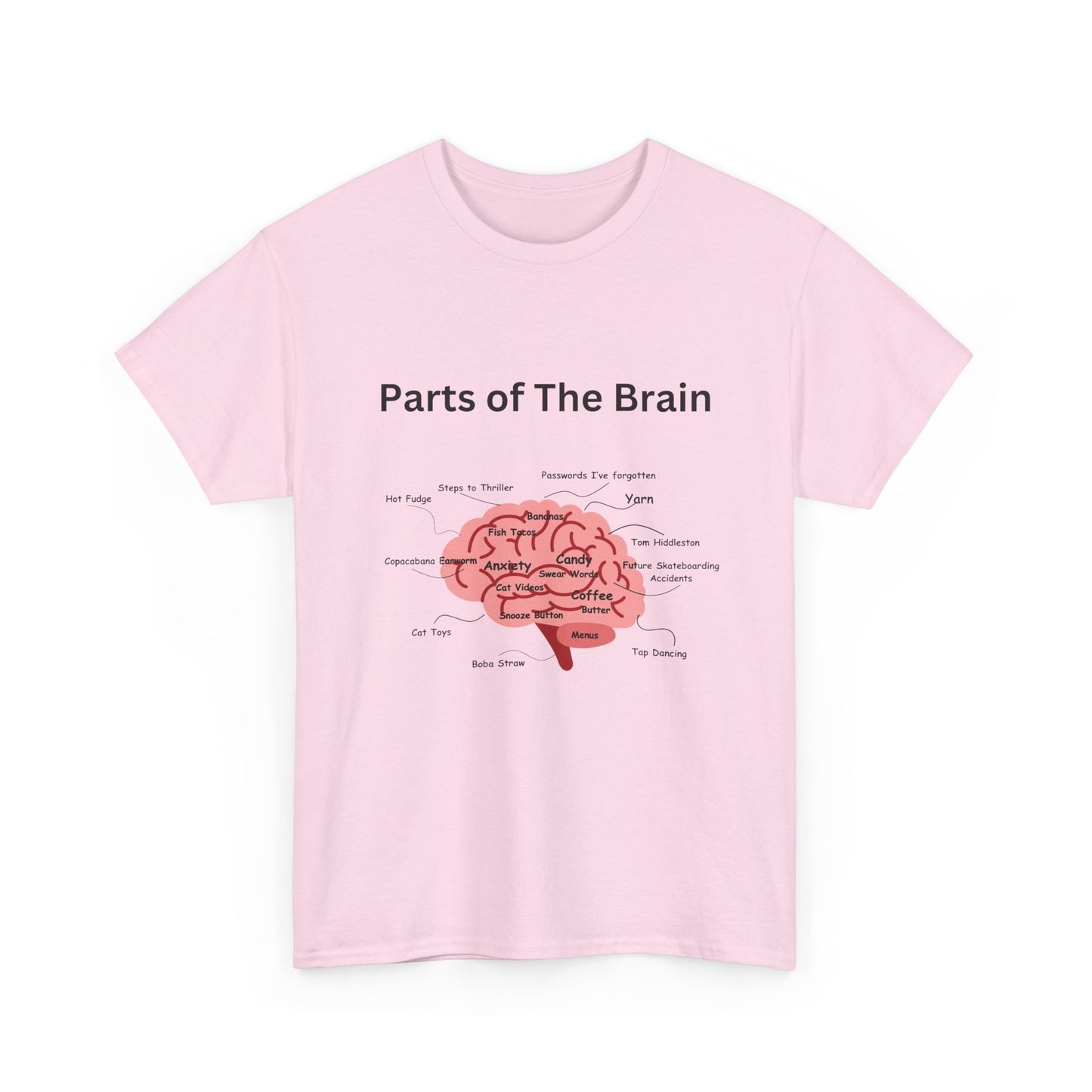 Parts of The Brain