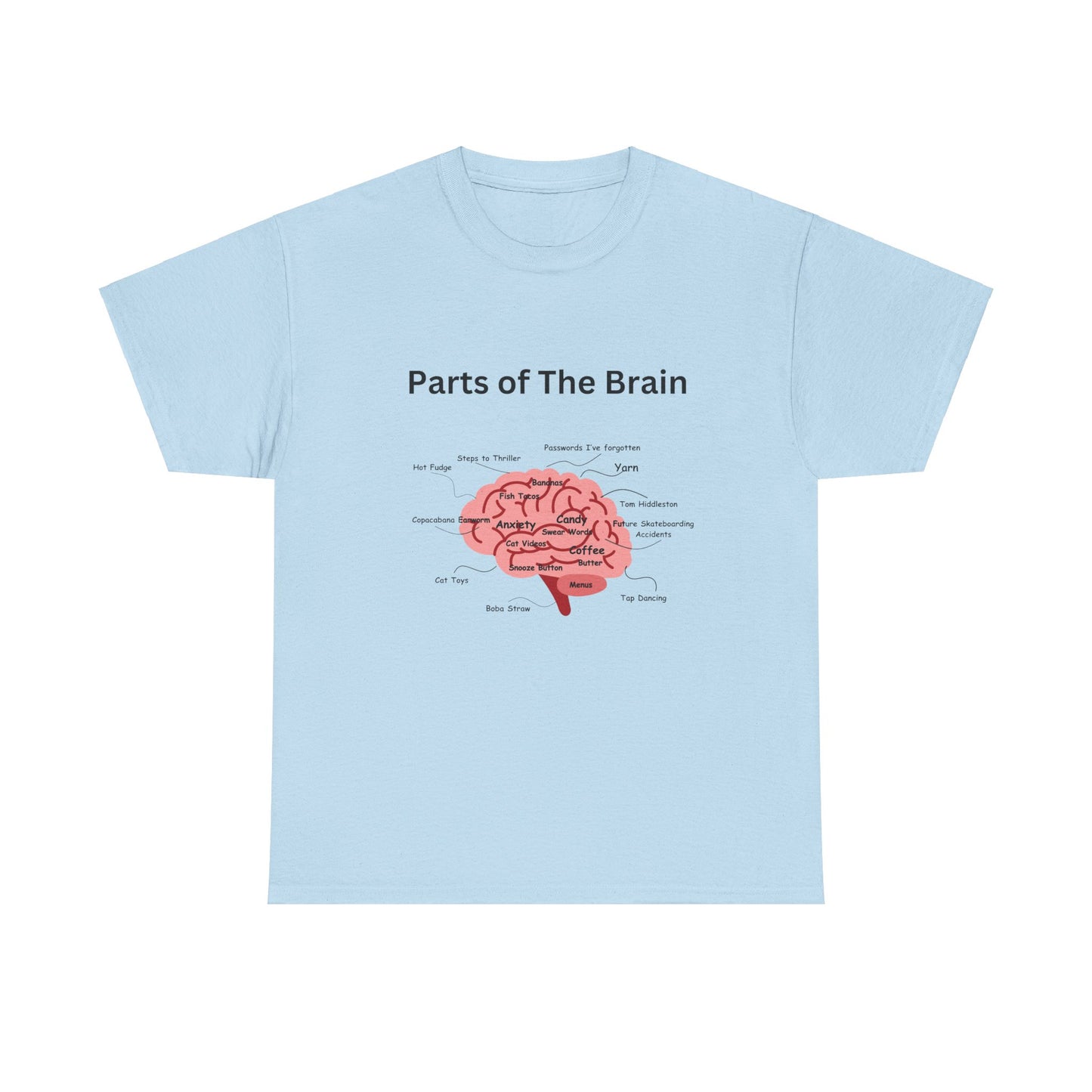 Parts of The Brain
