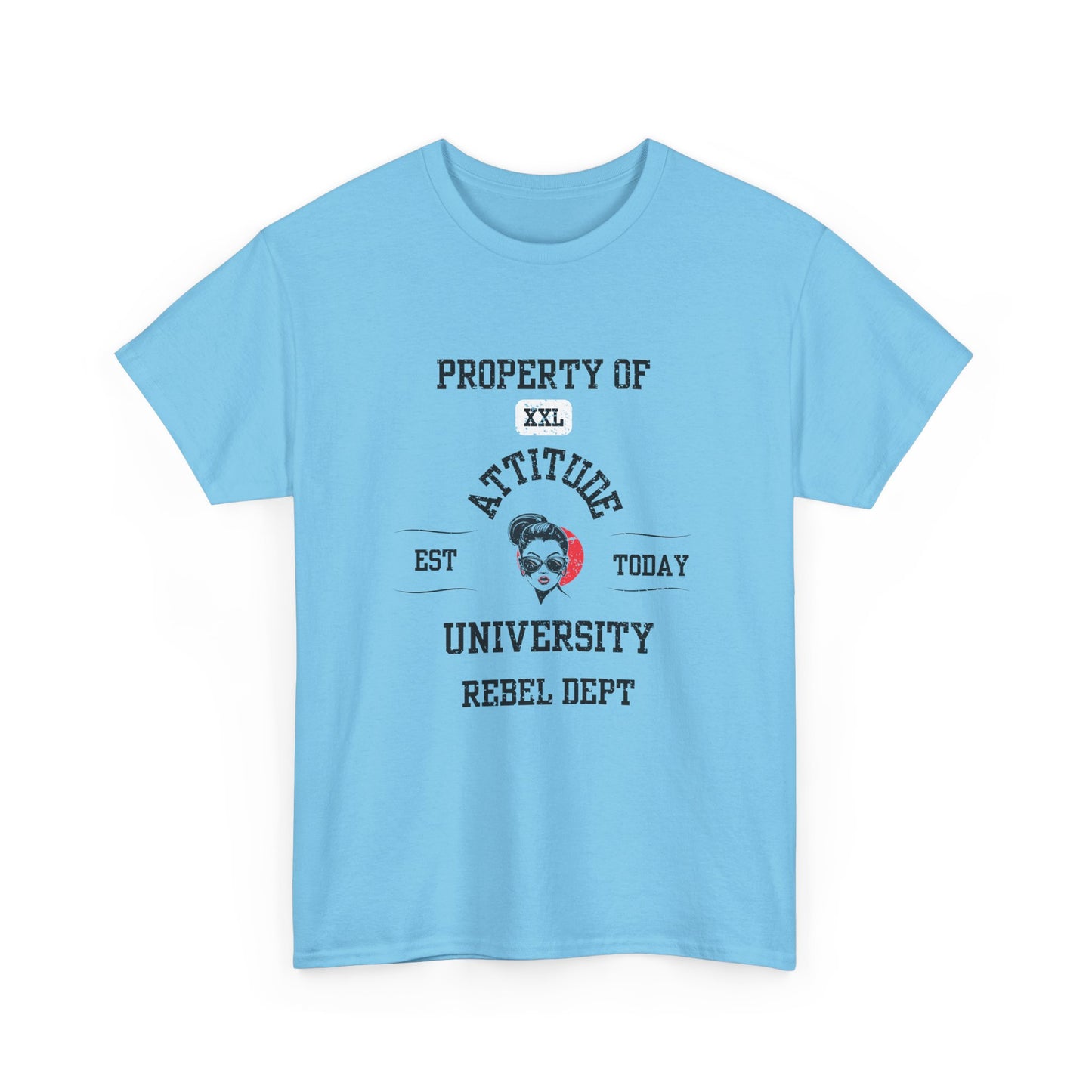 Property of Attitude University