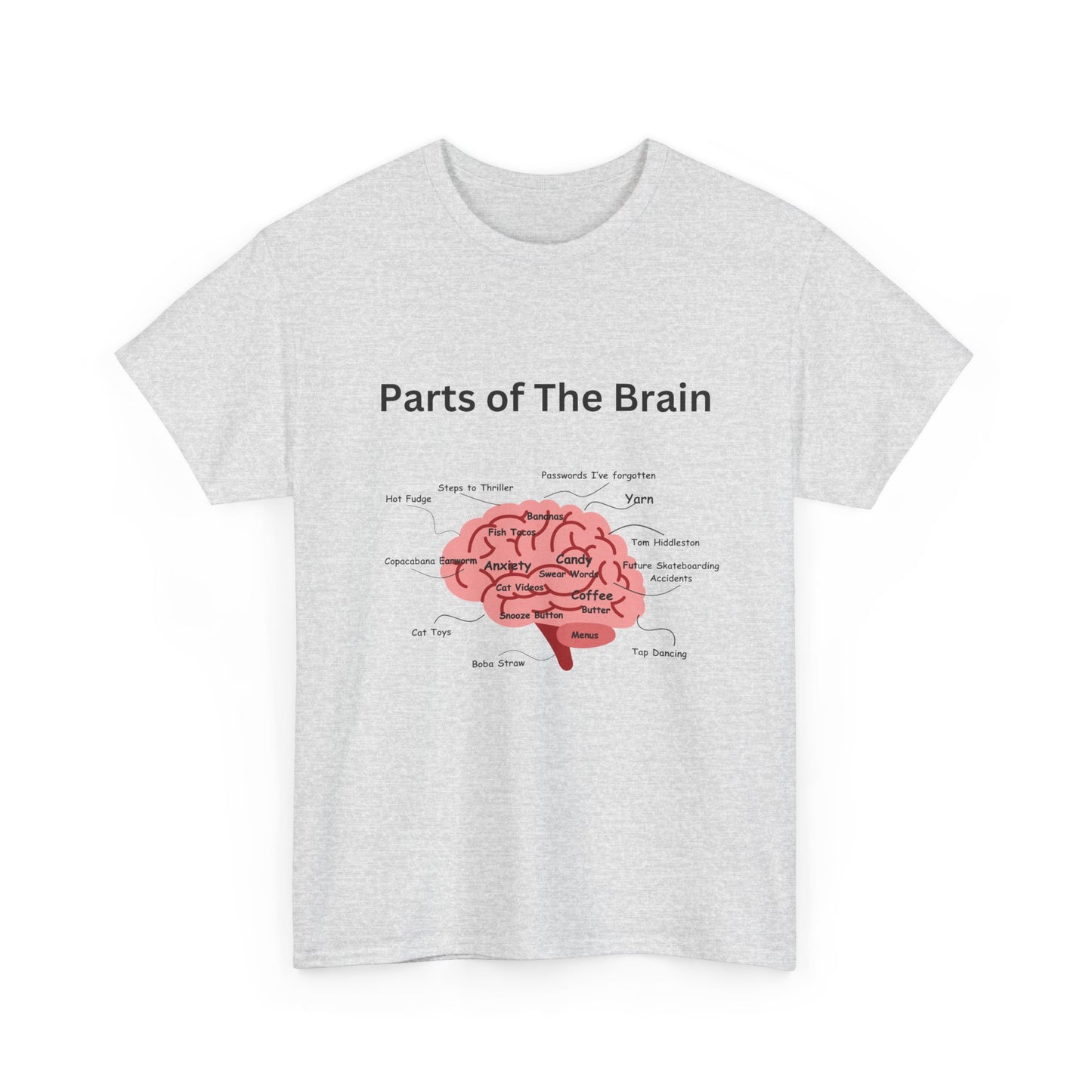 Parts of The Brain